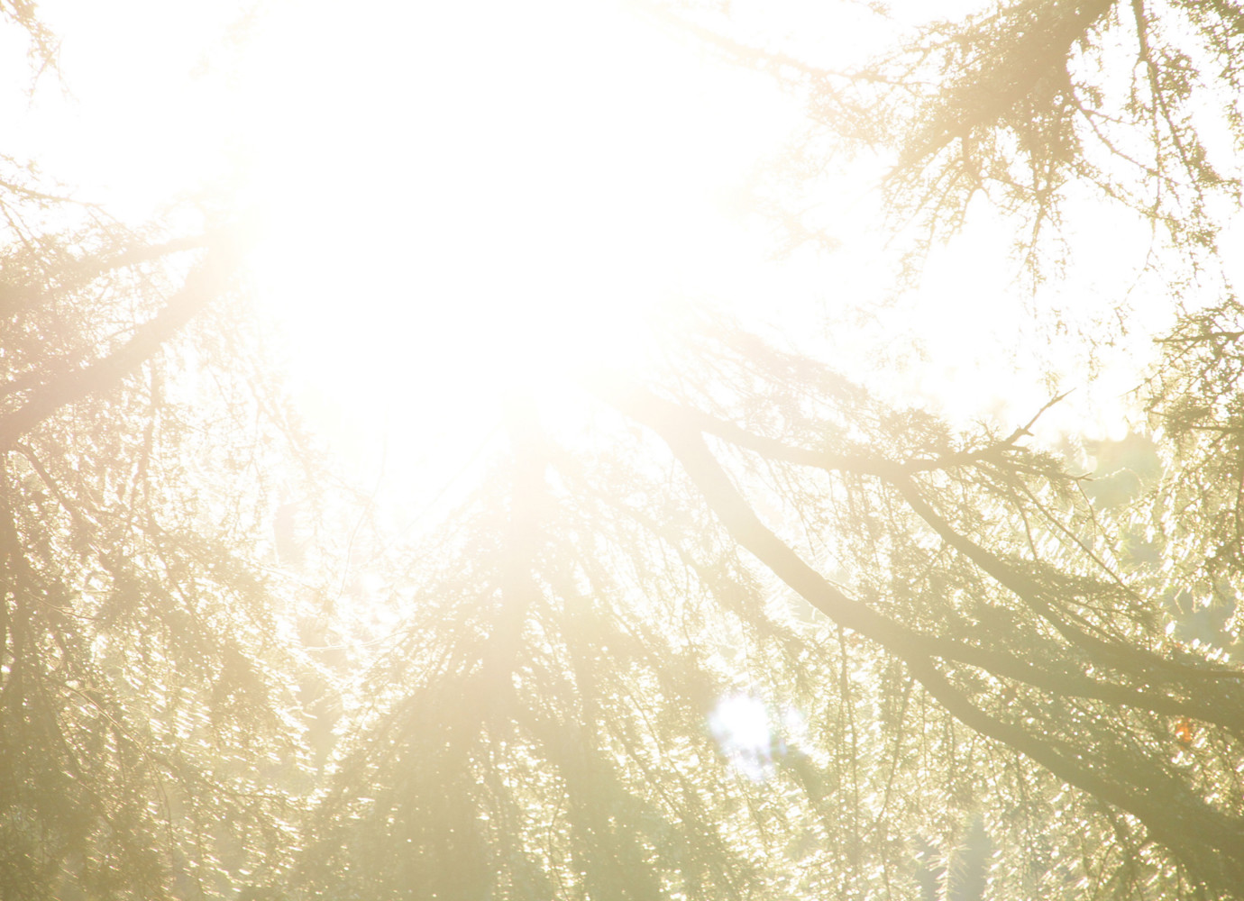 Sample Photo 02